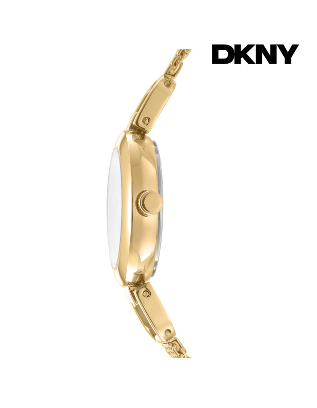DKNY Ladies Watch